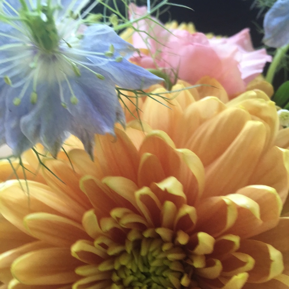 Meet your Posher, Karen